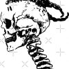 xxxtentacion Skull Logo Canvas print Official Haikyuu Merch